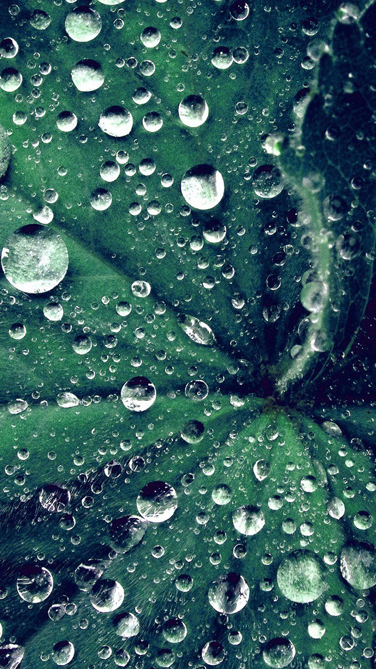 Live Water Wallpaper Hd - 750x1334 Wallpaper Live Water Wallpaper Hd - 750x1334 Wallpaper