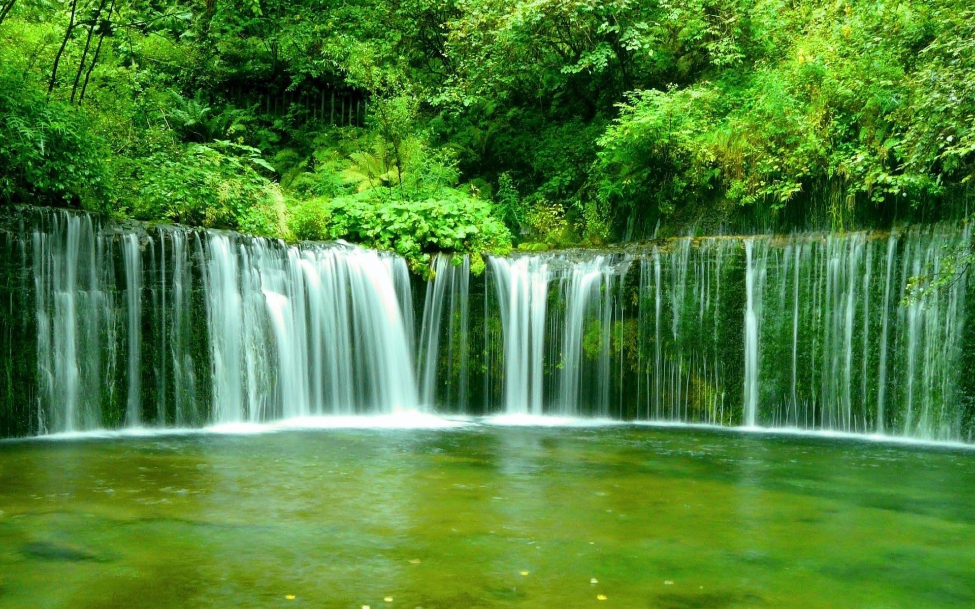 1920x1200, Green Forest Waterfall 
 Data Id 268607 - Shiraito Falls - HD Wallpaper 