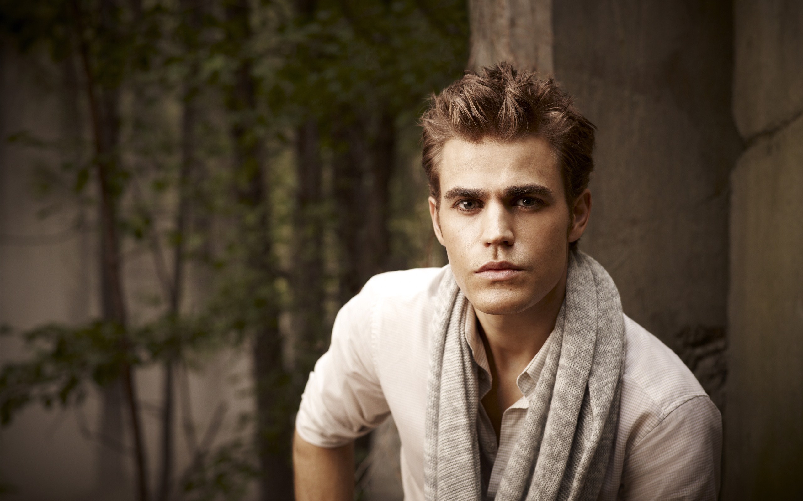 The Vampire Diaries Wallpaper - Paul Wesley Vampire Diaries - HD Wallpaper 