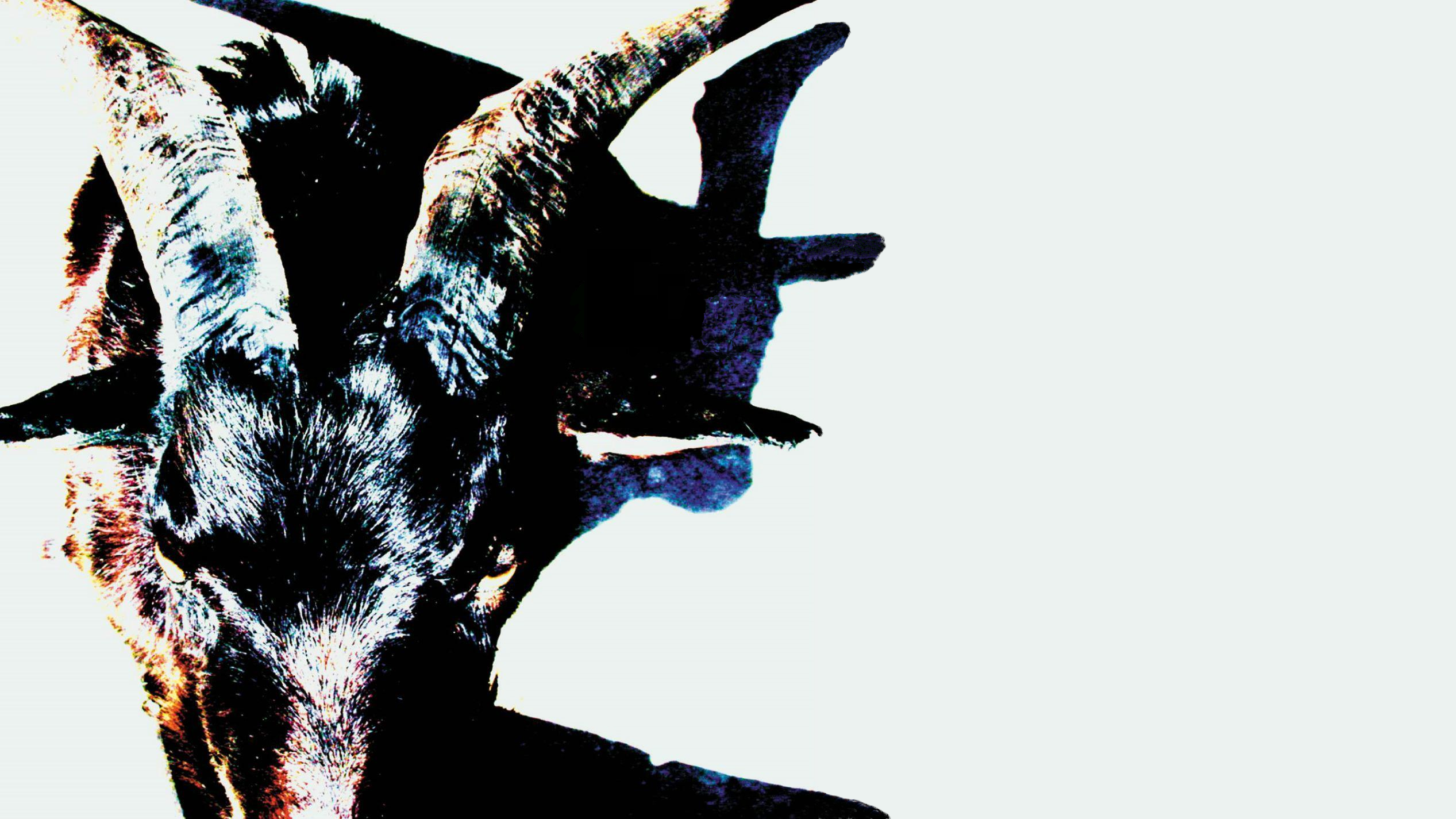 Slipknot iowa album tpb torrents Slipknot iowa album tpb torrents band sham 69 torrent