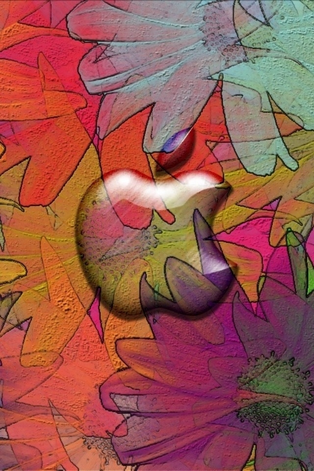 Hd Color Flowers Apple Iphone 4s Wallpapers - Colorful Wallpapers For Iphone 4s - HD Wallpaper 