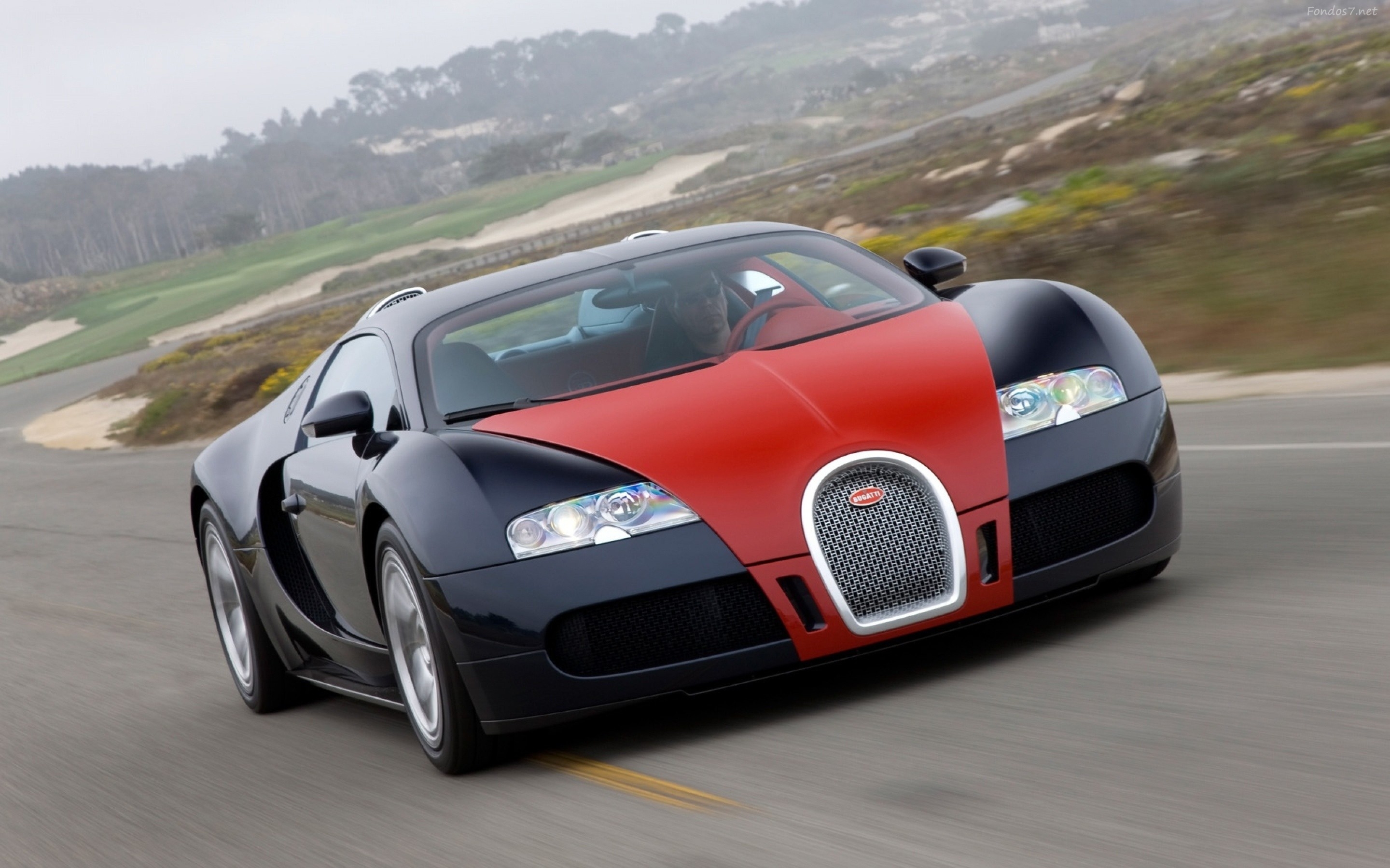 Bugatti Veyron Color Combinations - HD Wallpaper 