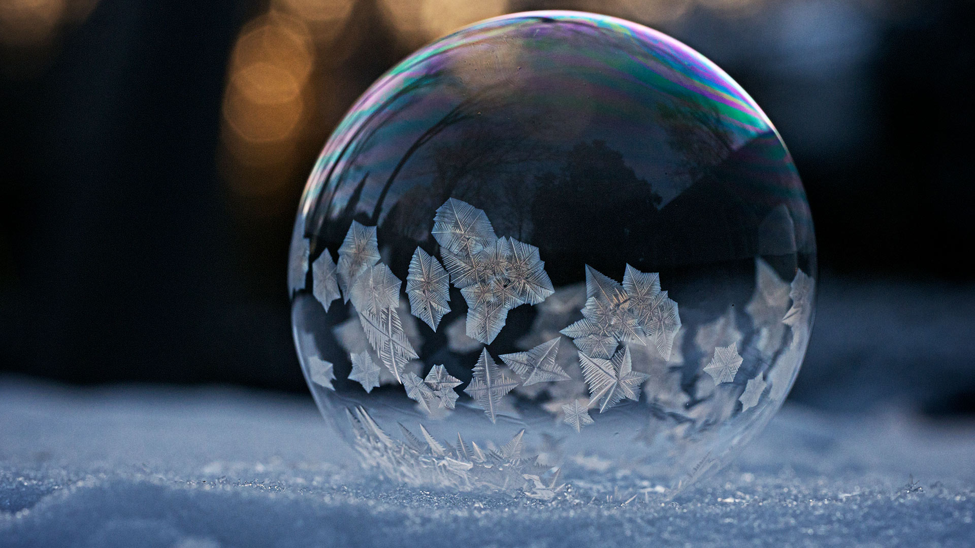 Macro Shot Of Frozen Soap Bubble - HD Wallpaper 