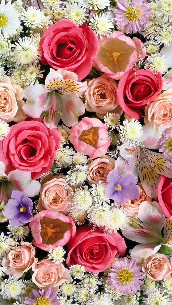 High Resolution Flower Wallpaper Iphone - HD Wallpaper 