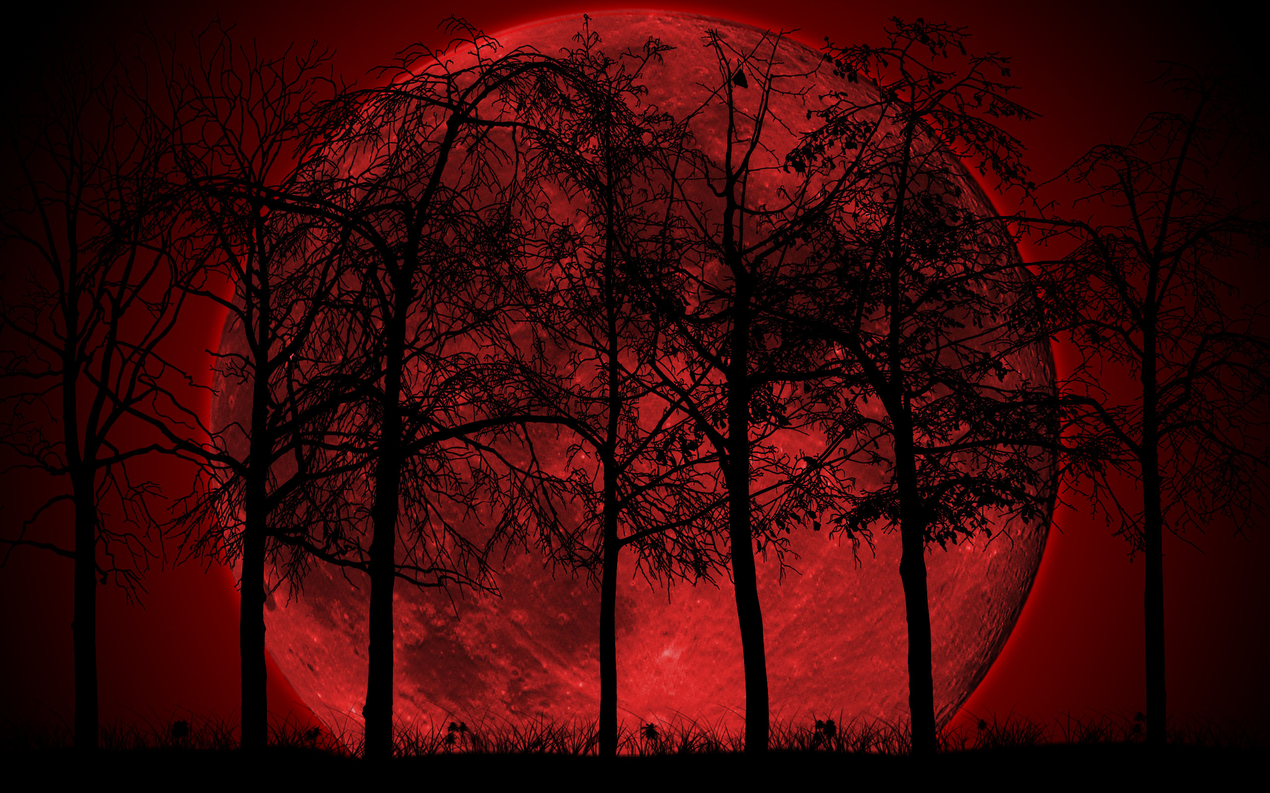 Dark Forest Wallpaper High Quality Resolution Is Cool - Dark Cool Quotes - HD Wallpaper 