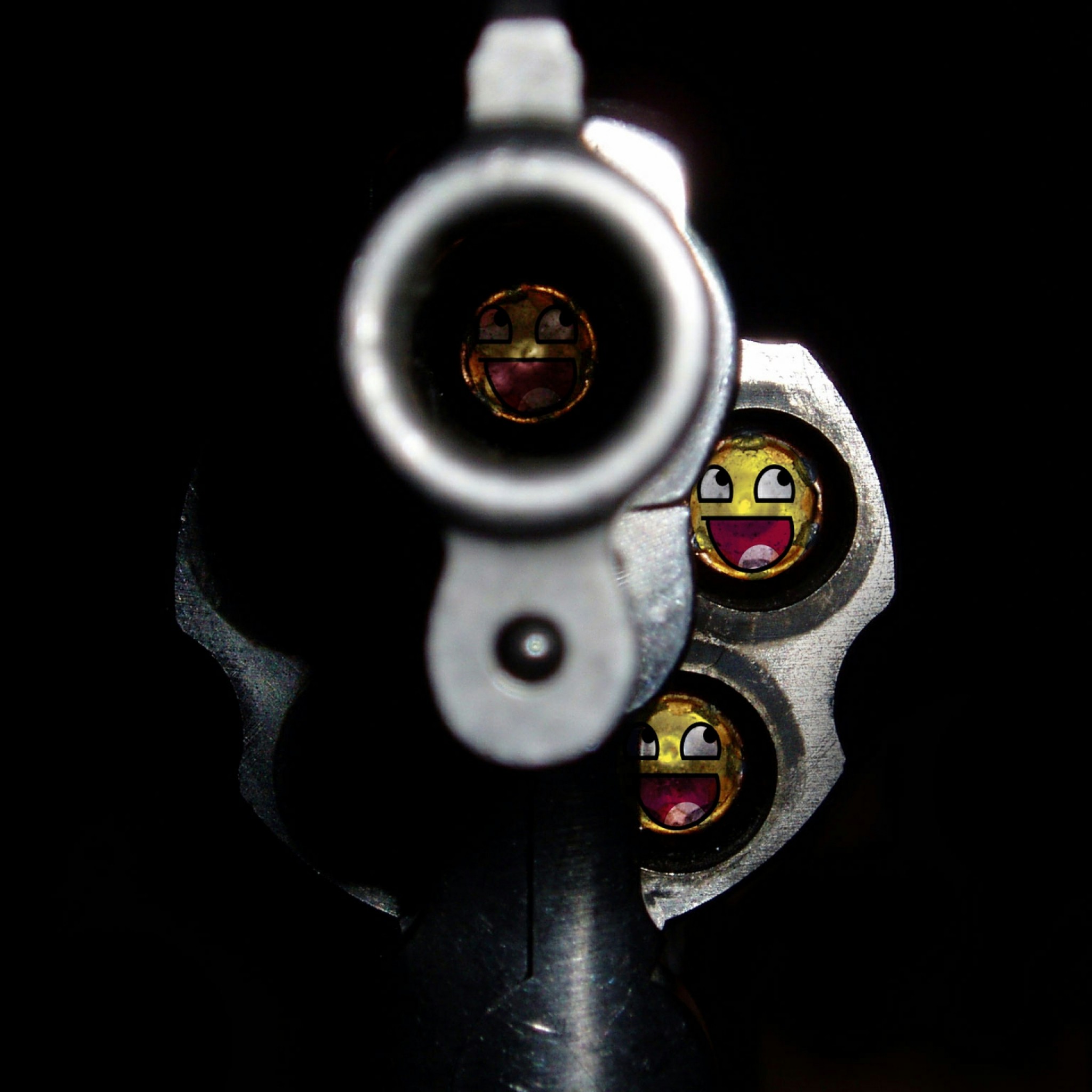 Funny Ipad Wallpapers - Iphone 6 Second Amendment - 2048x2048 Wallpaper - Funny Ipad Wallpapers - Iphone 6 Second Amendment - 2048x2048 Wallpaper -