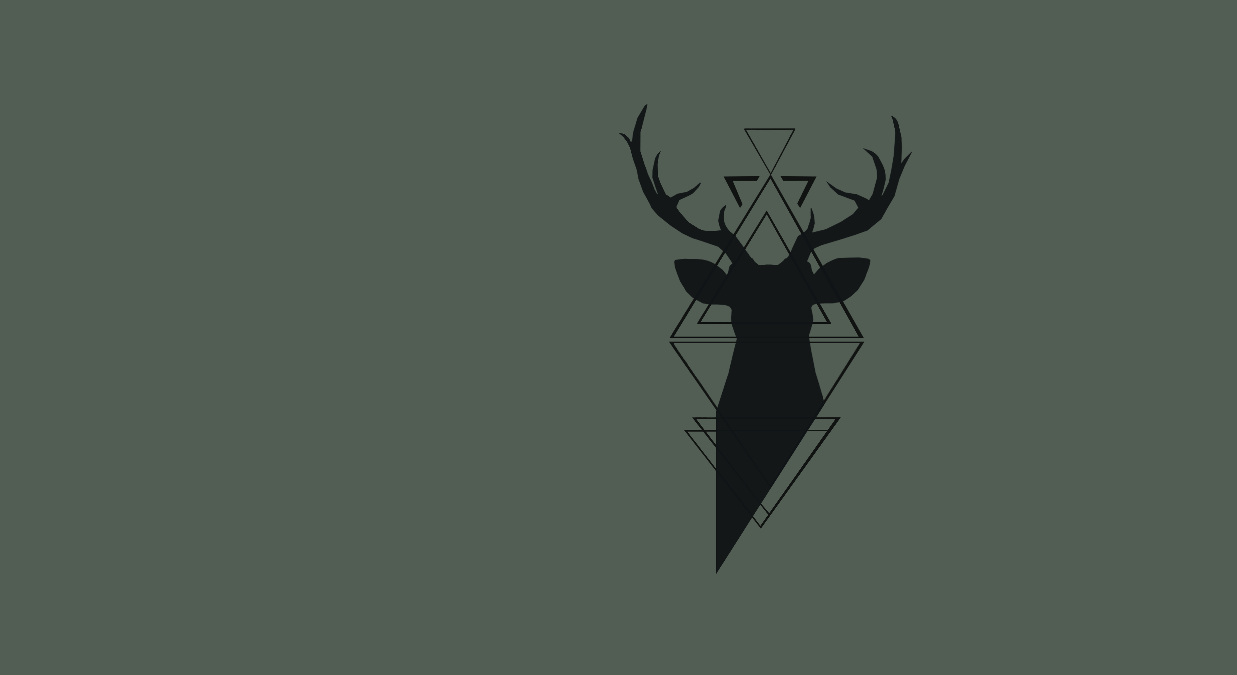 Antler - HD Wallpaper 