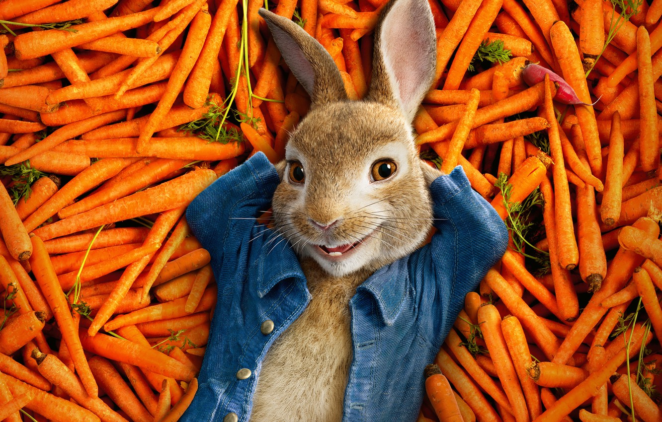 Photo Wallpaper Happiness, Cartoon, Rabbit, Lies, Vegetables, - Favorite Food Of Rabbit - HD Wallpaper 