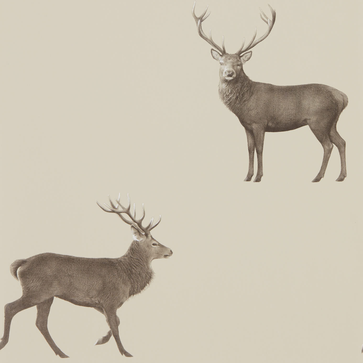 Evesham Deer Birch Wallpaper By Sanderson - Sanderson Deer - HD Wallpaper 