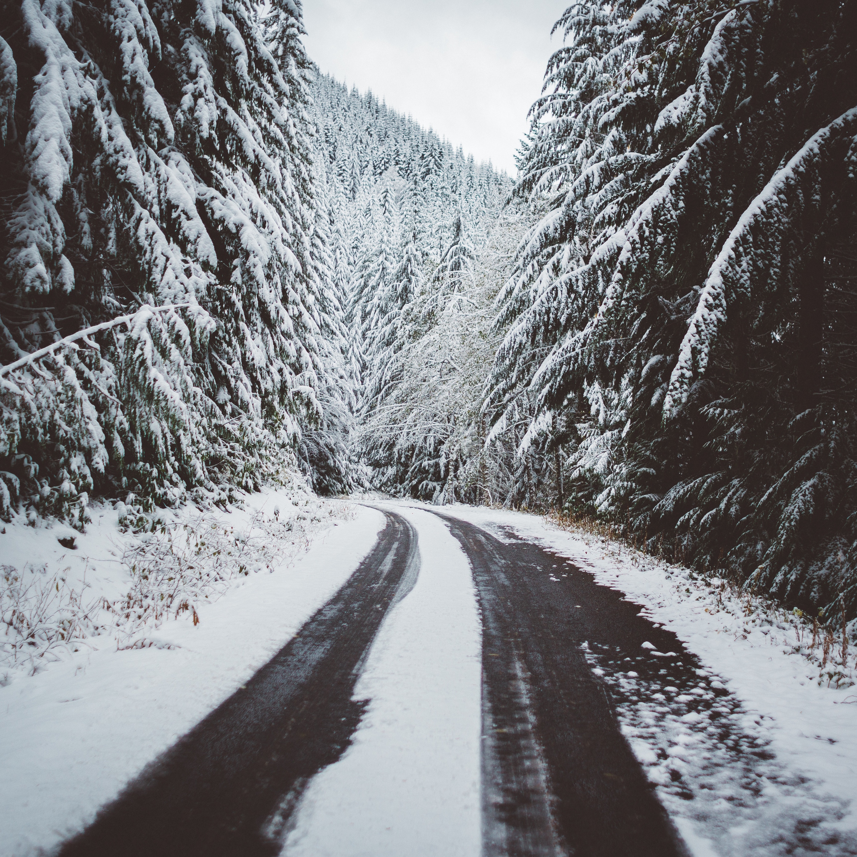 Wallpaper Road, Snow, Trees, Winter - 4k Winter - HD Wallpaper 