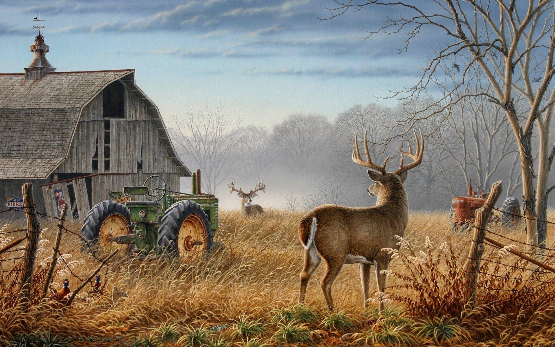 Deer Hunting Backgrounds 
 Data-src /full/168615 - Whitetail Deer Background - HD Wallpaper 