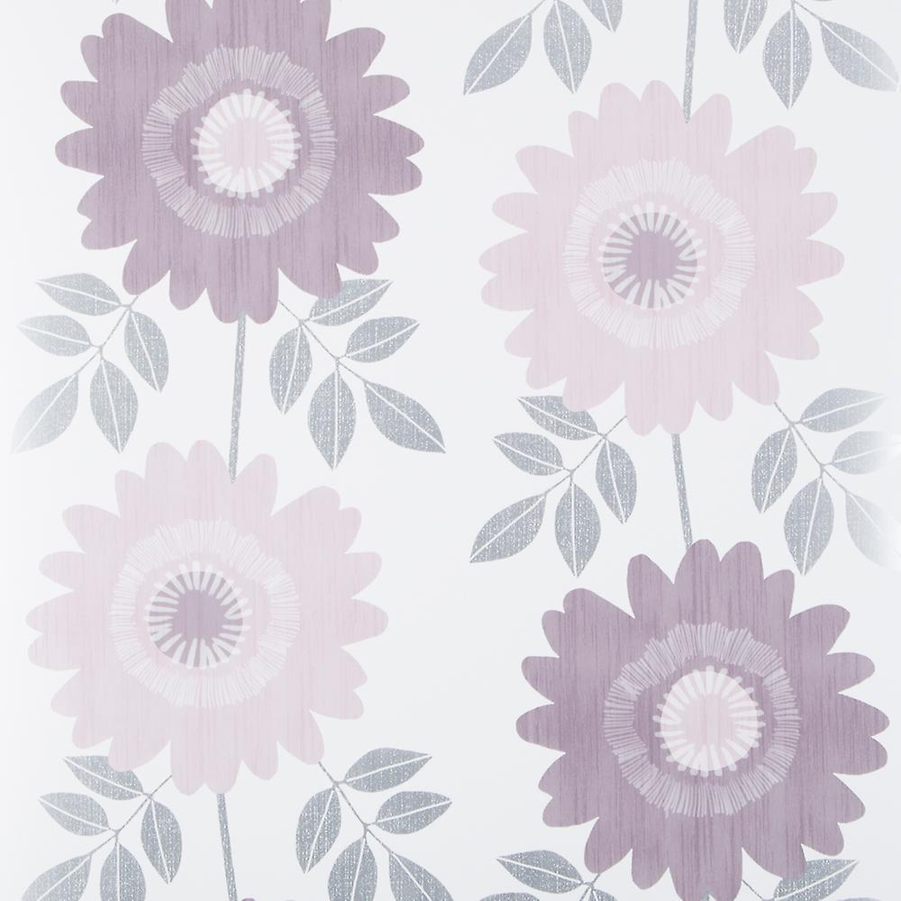 African Daisy - HD Wallpaper 