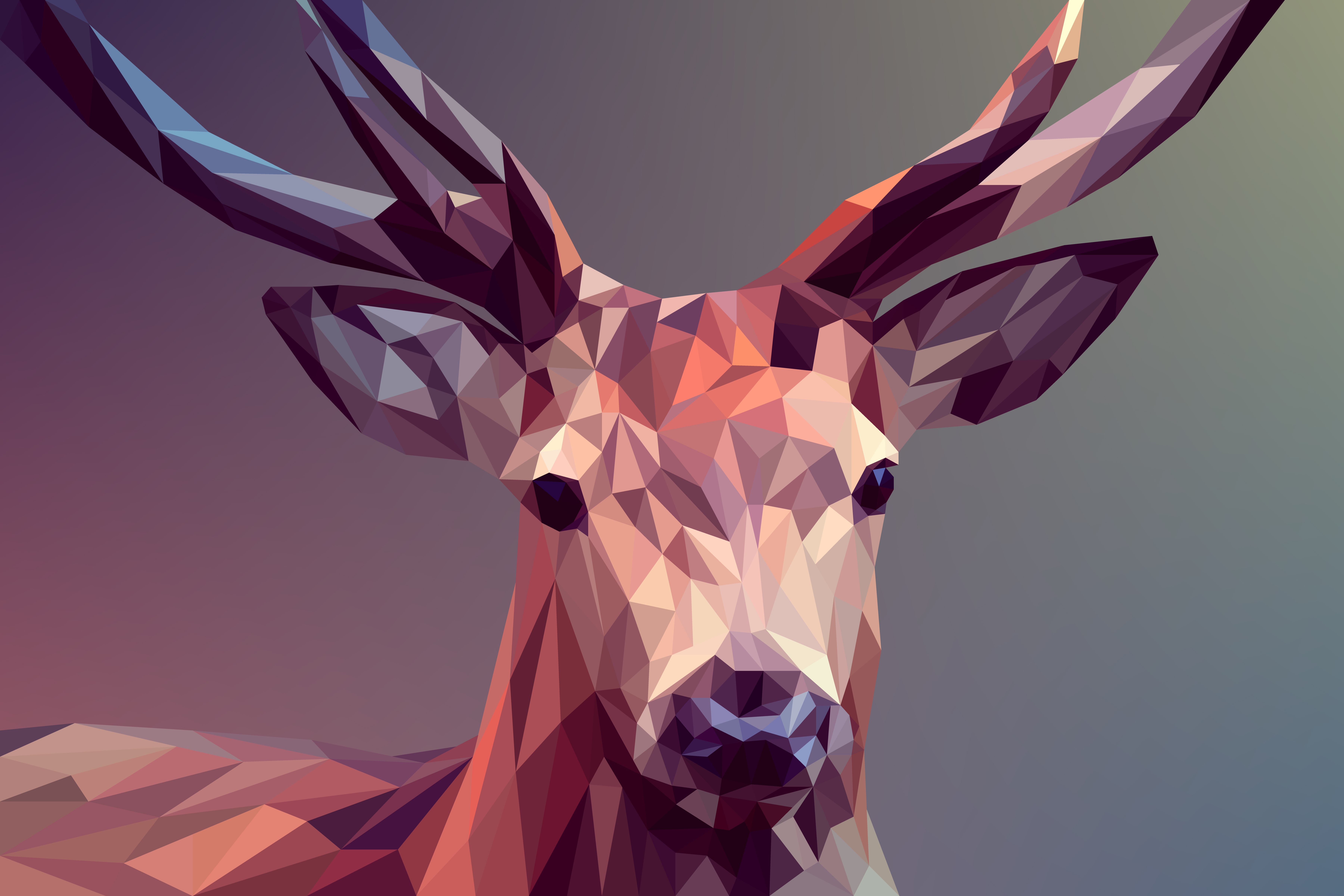 Deer Graphic - HD Wallpaper 