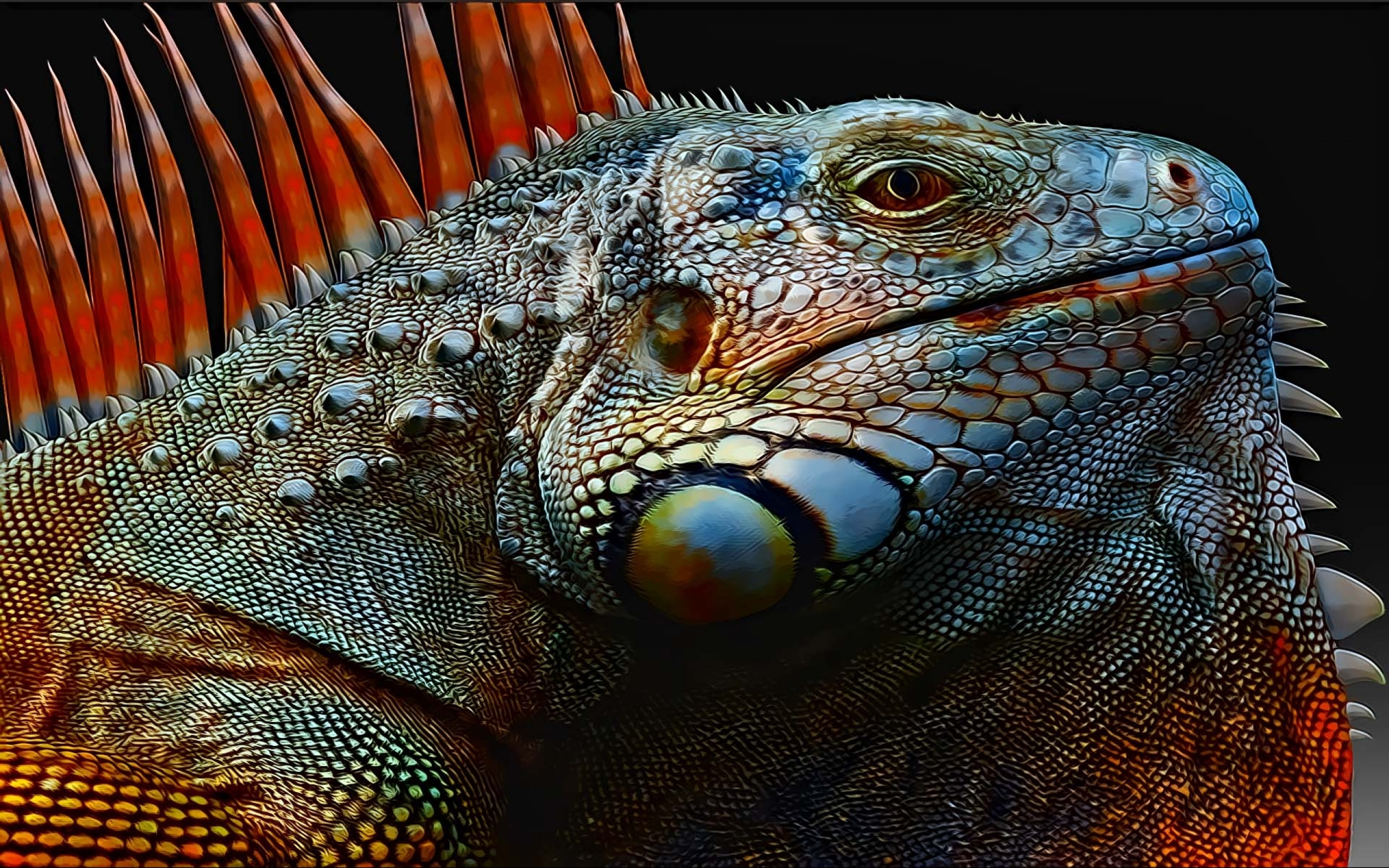 Nice Images Collection - Iguana Wallpaper Hd - HD Wallpaper 