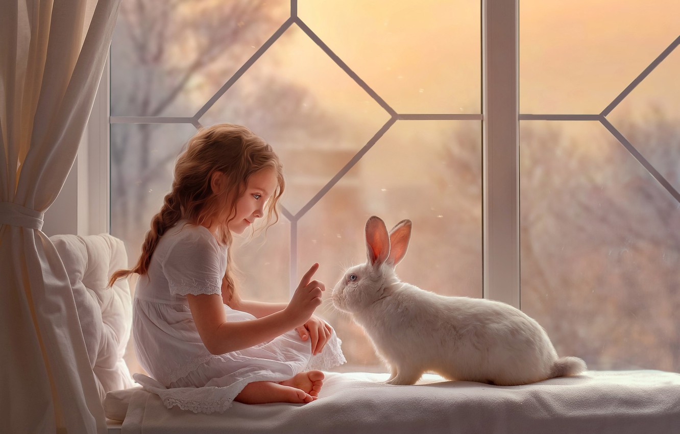 Photo Wallpaper Mood, Rabbit, Window, Girl, White Rabbit - Rabbit With Cute Girl - HD Wallpaper 