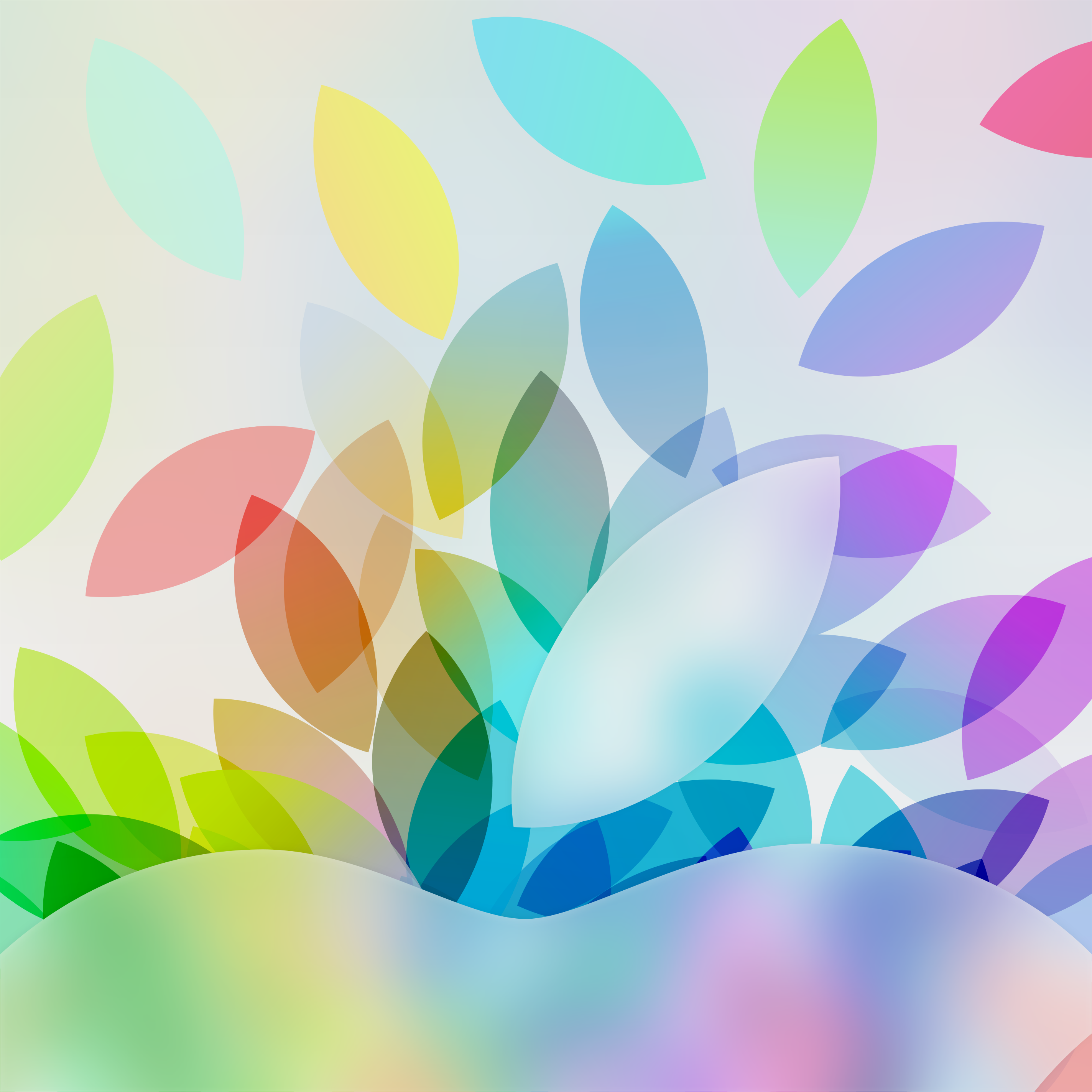 Hd Wallpapers Colourful Leaf - HD Wallpaper 