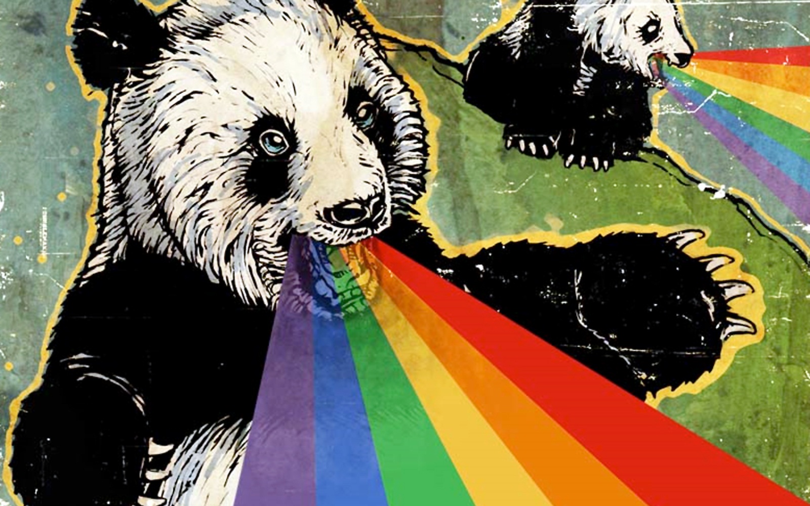 By Angelia Saulsberry - Panda Throwing Up Rainbows - HD Wallpaper 