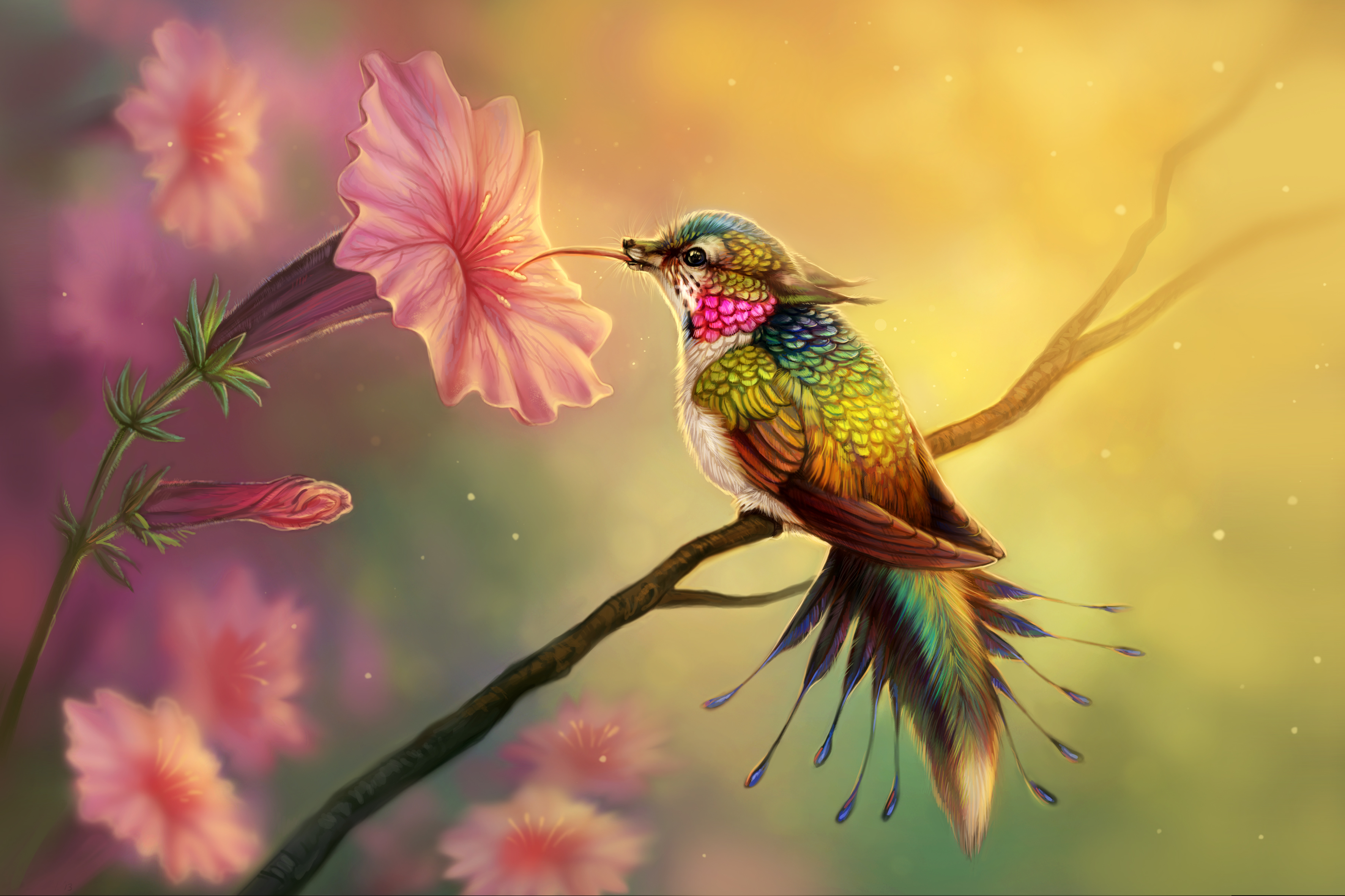 Hummingbird Drinking Nectar From Flower - HD Wallpaper 
