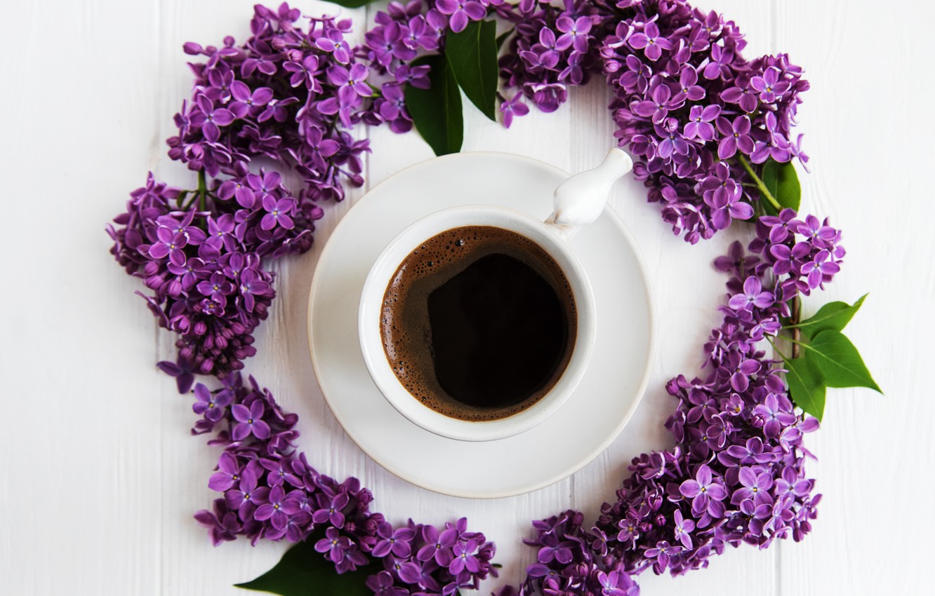 Photo Wallpaper Coffee, Branch, Cup, Lilac - Сиреневый Венок Из Цветов - HD Wallpaper 