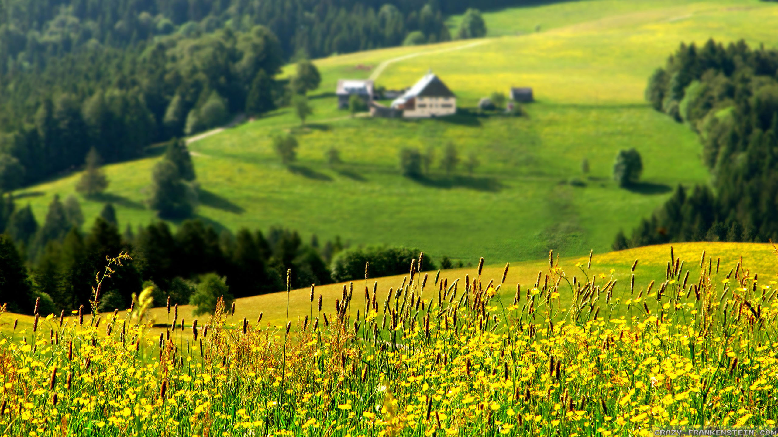 Perfect View - HD Wallpaper 