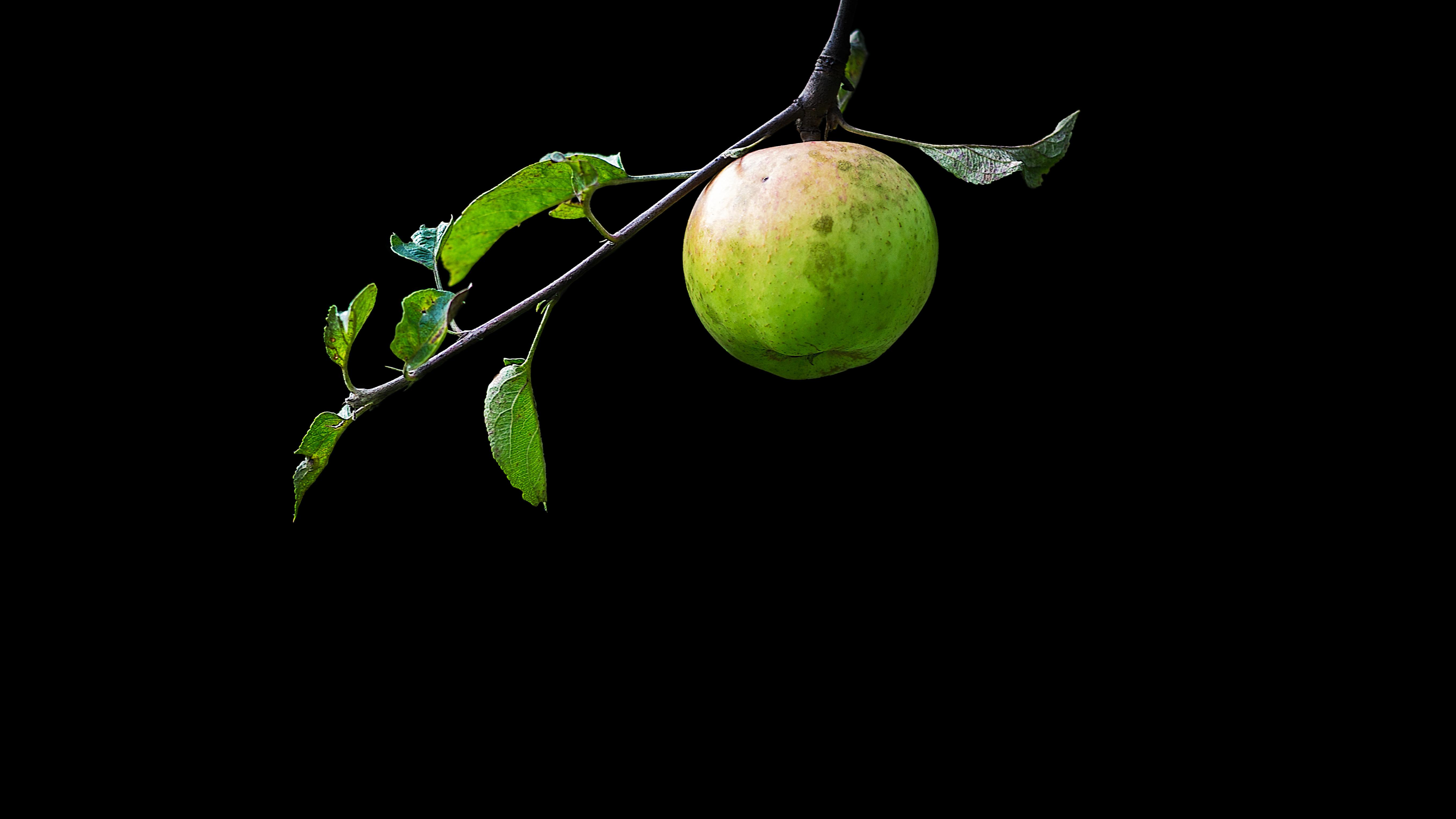 Oled Friendly Apple Wallpaper - Oled 4k - HD Wallpaper 