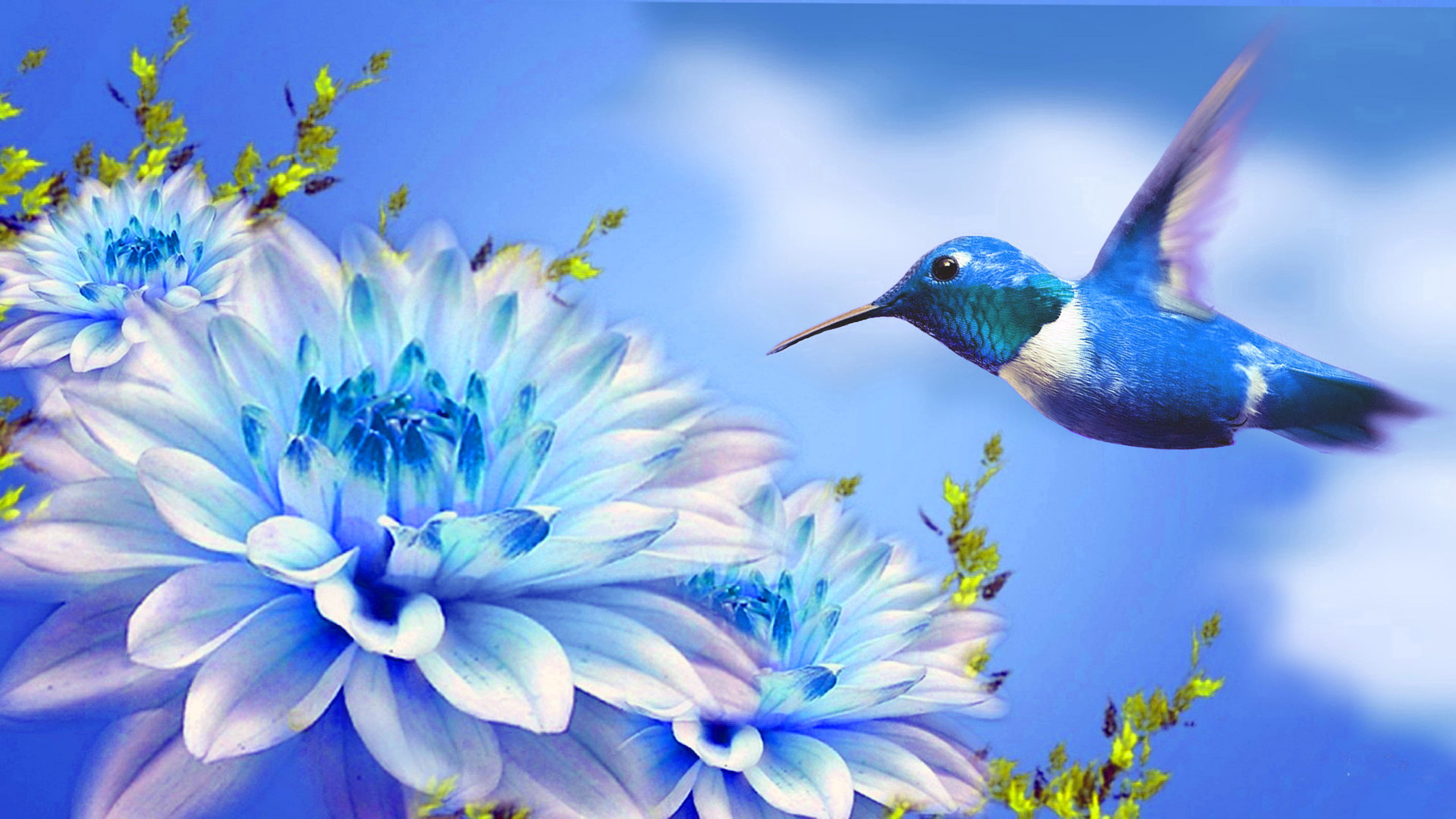 Blue Flowers With Butterfly - 4272x2402 Wallpaper - teahub.io