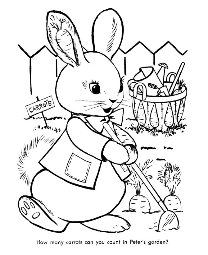 Easter Rabbit Coloring Pages - Cottontail Peter Rabbit Coloring Pages - HD Wallpaper 