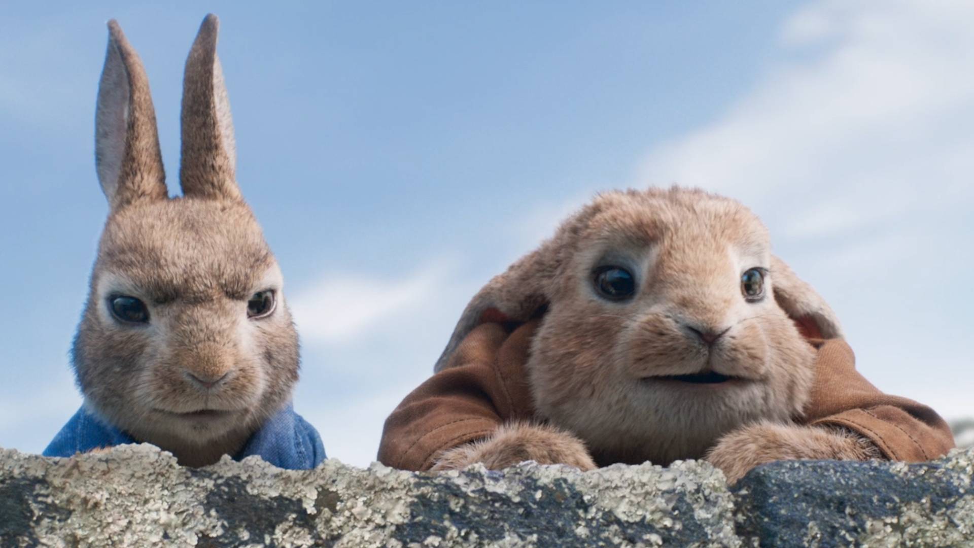 Peter Rabbit And Benjamin Bunny Movie - HD Wallpaper 