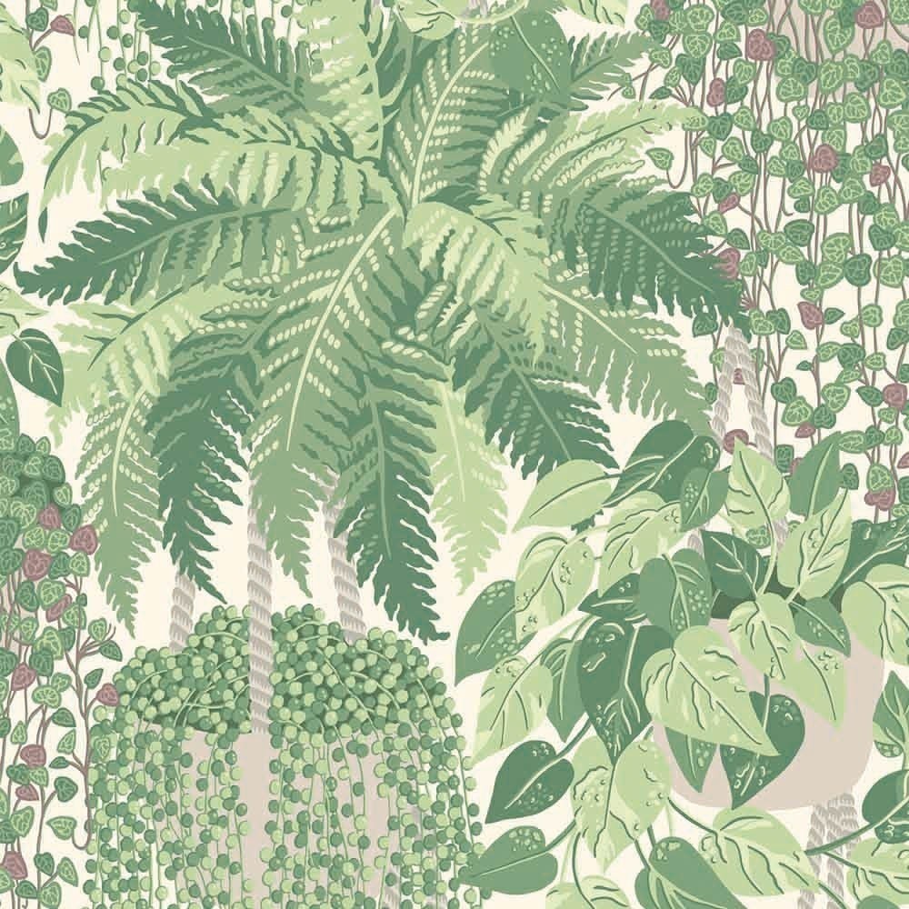 Fern Wallpaper Cole And Son Vert 115/7021 Cole And - Si-o-se Pol - HD Wallpaper 