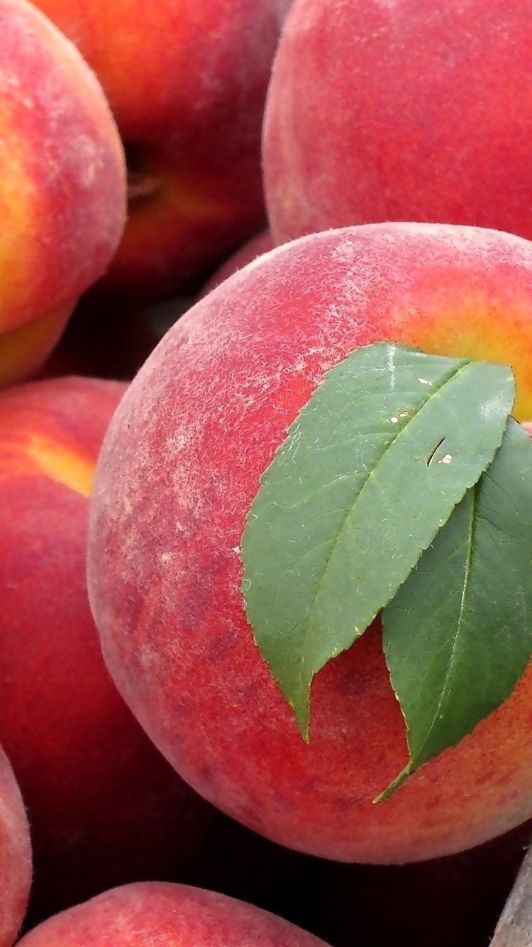 Iphone Wallpaper Peach Fruit Close-up - Iphone Peach - HD Wallpaper 