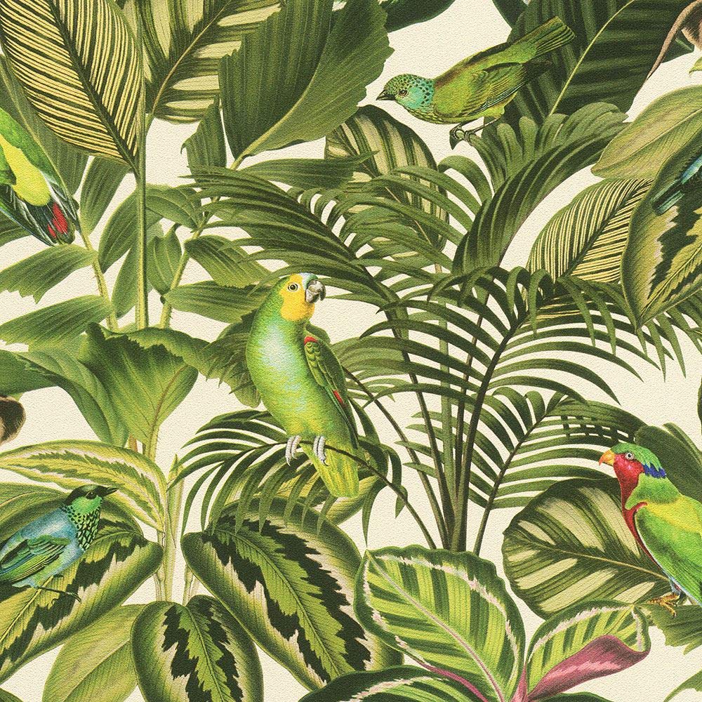 Freundin Tropical Parrot Wallpaper Green/cream Rasch - Jungle Wall Paper - HD Wallpaper 