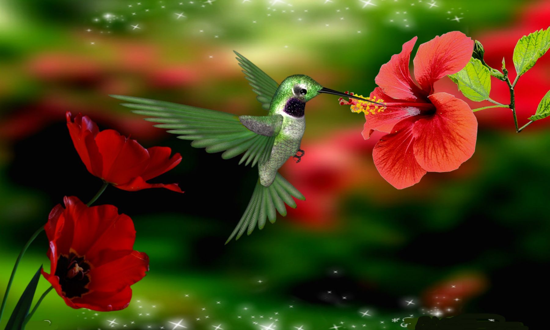 Hummingbird Desktop Background - Beautiful Flowers With Hummingbird - HD Wallpaper 
