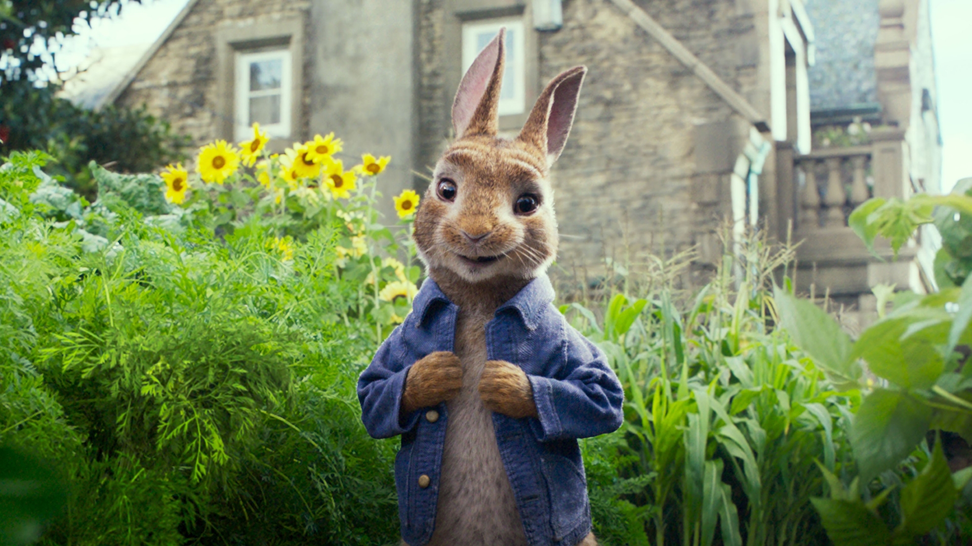 Peter Rabbit - Peter Rabbit Movie 2017 - HD Wallpaper 