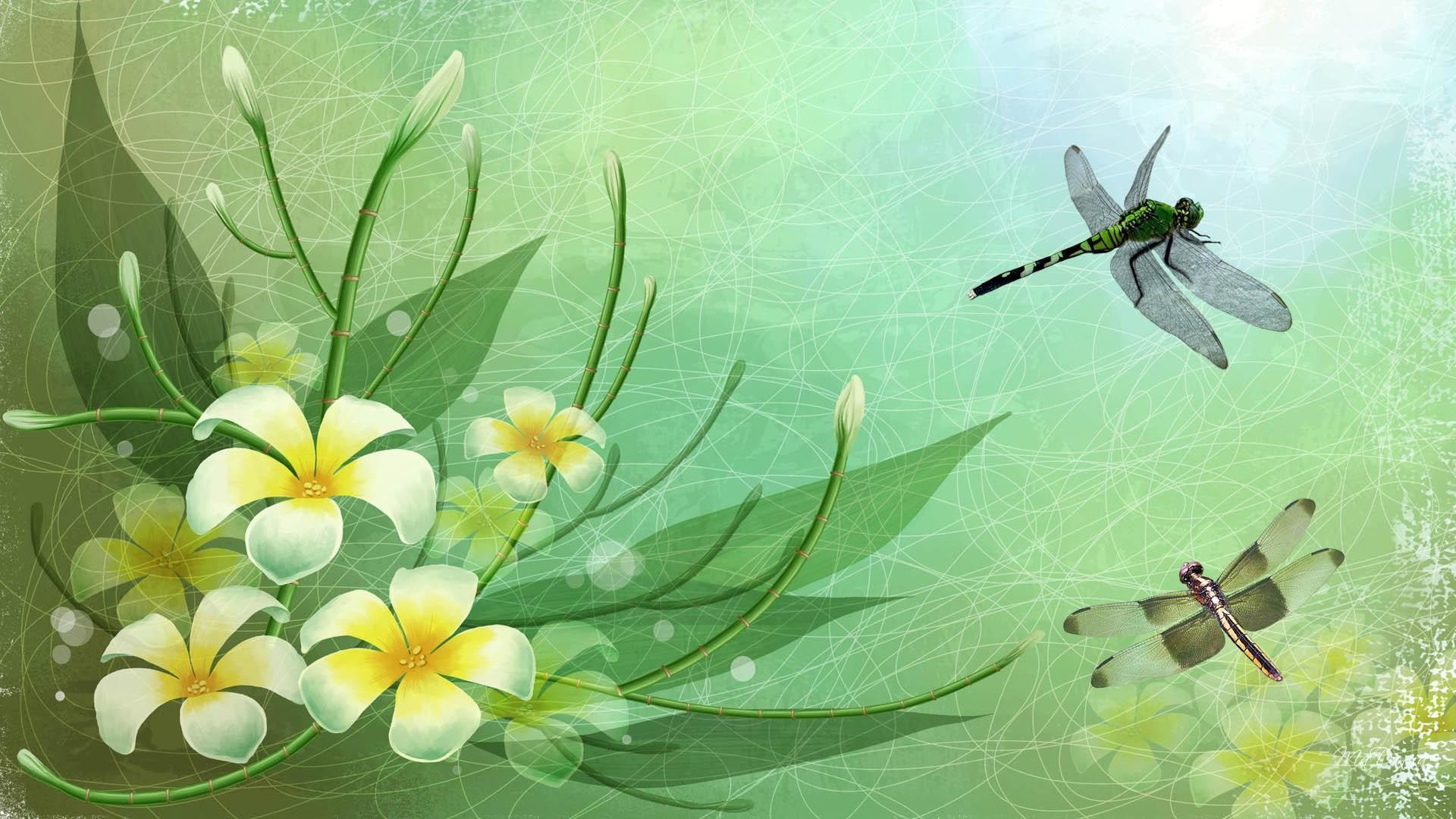 Dragonflies Hd Desktop Wallpapers For Widescreen, High - Dragonfly  Backgrounds - 1920x1080 Wallpaper 