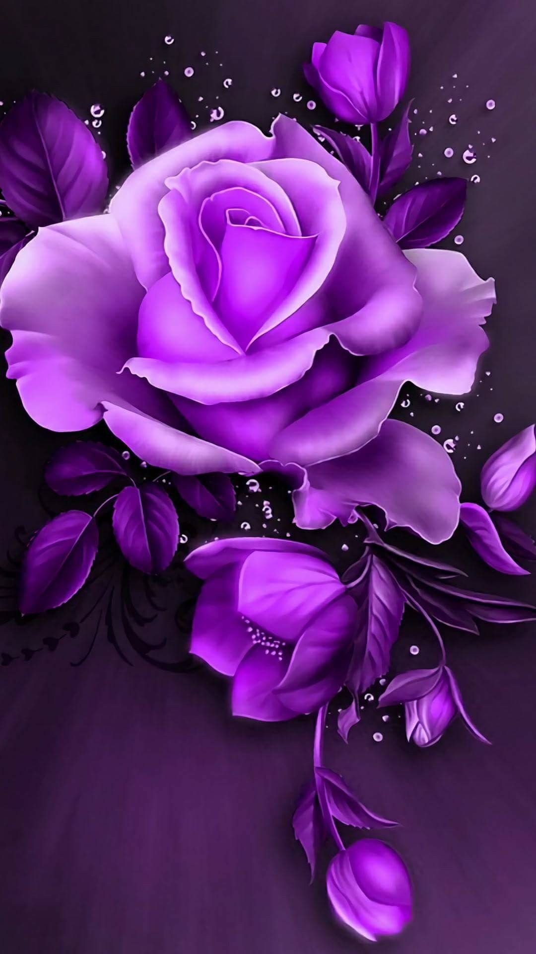 1080x1920, Rose Wallpaper, Wallpaper Backgrounds, Purple - Purple Rose Flowers Wallpaper Hd - HD Wallpaper 