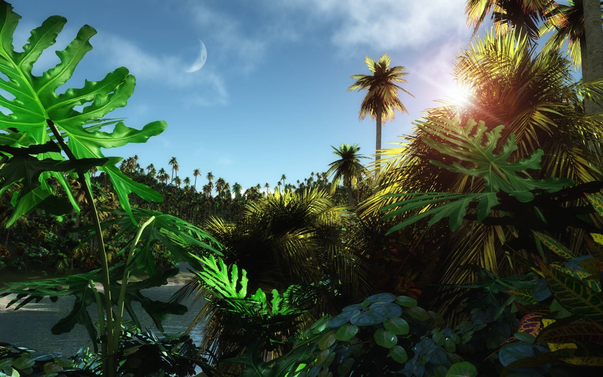 Animated Jungle Wallpaper Hd - Jungle Sky - 1920x1200 Wallpaper 