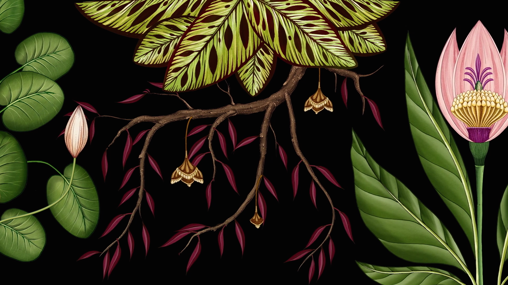 A Detailed Still From Publicis Botanical, An Animated - Katie Scott - HD Wallpaper 