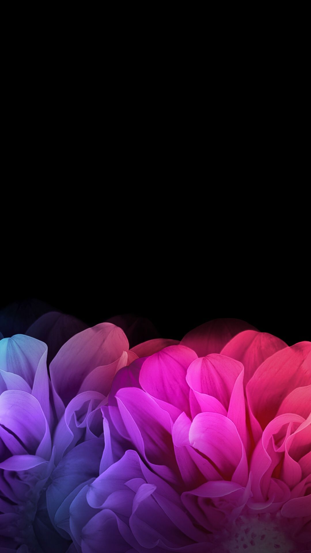 Black Floral Iphone Wallpaper - Iphone Dark Flower Backgrounds - HD Wallpaper 