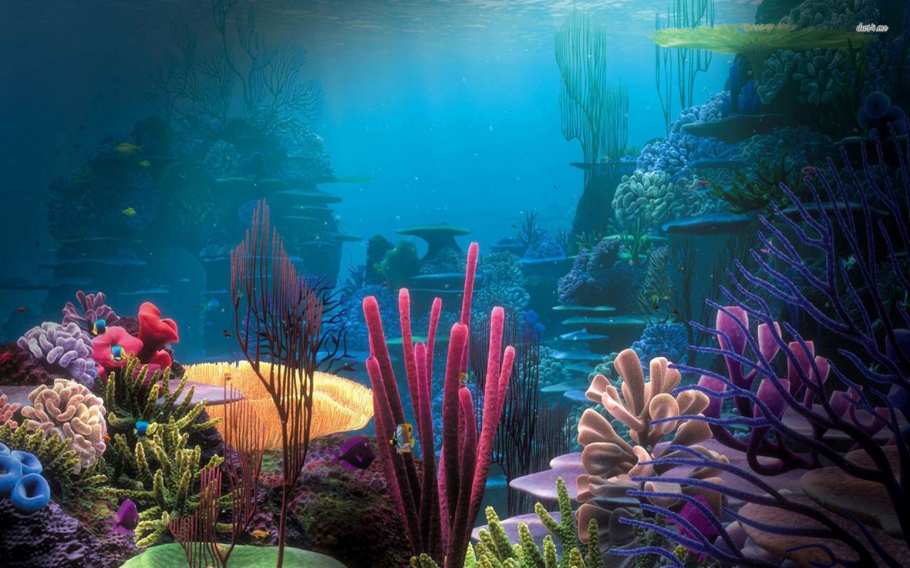 Aquarium Wallpaper - High Definition Aquarium Background - HD Wallpaper 