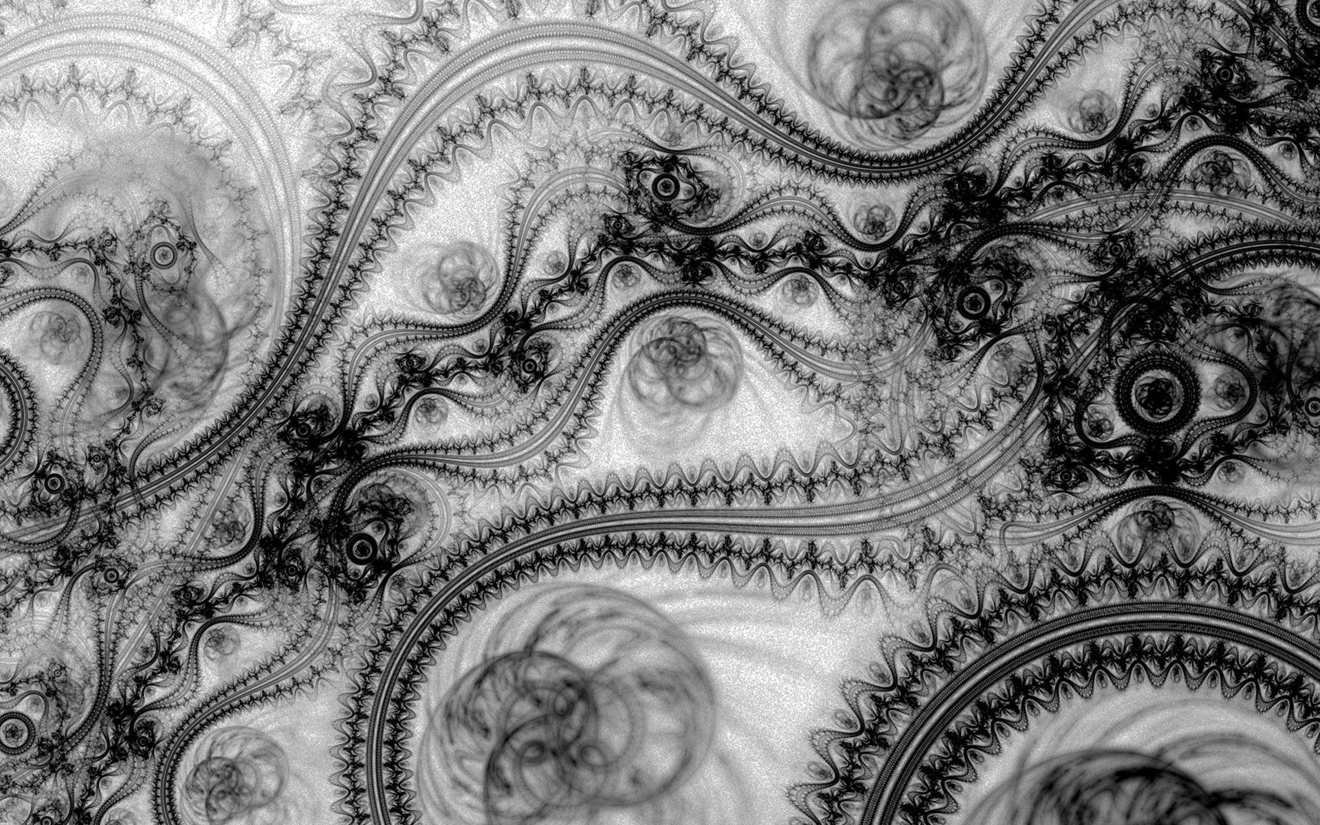 1920x1200, Fractal Lace Wallpaper 
 Data Id 168701 - Black Lace - HD Wallpaper 