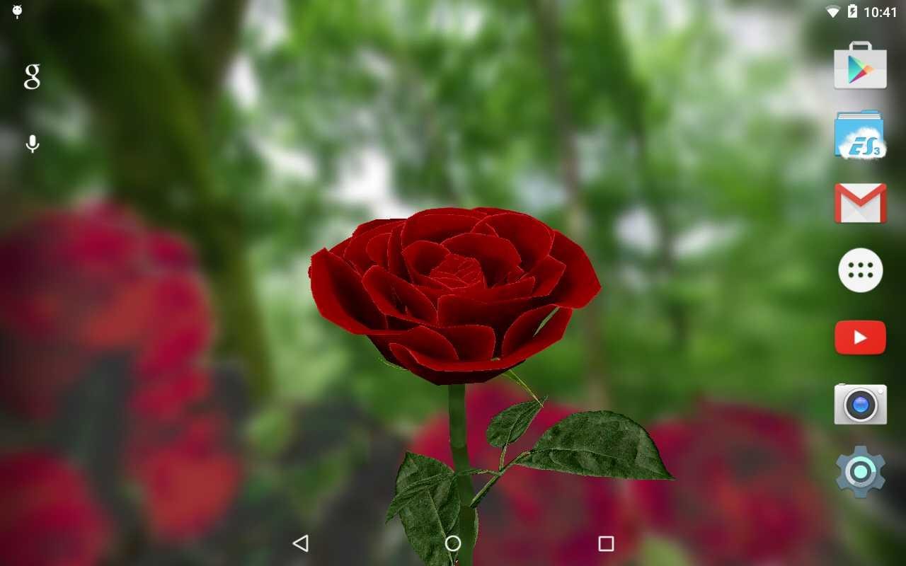 Petals 3d Live Wallpaper - 3d Rose Wallpapers Download - HD Wallpaper 