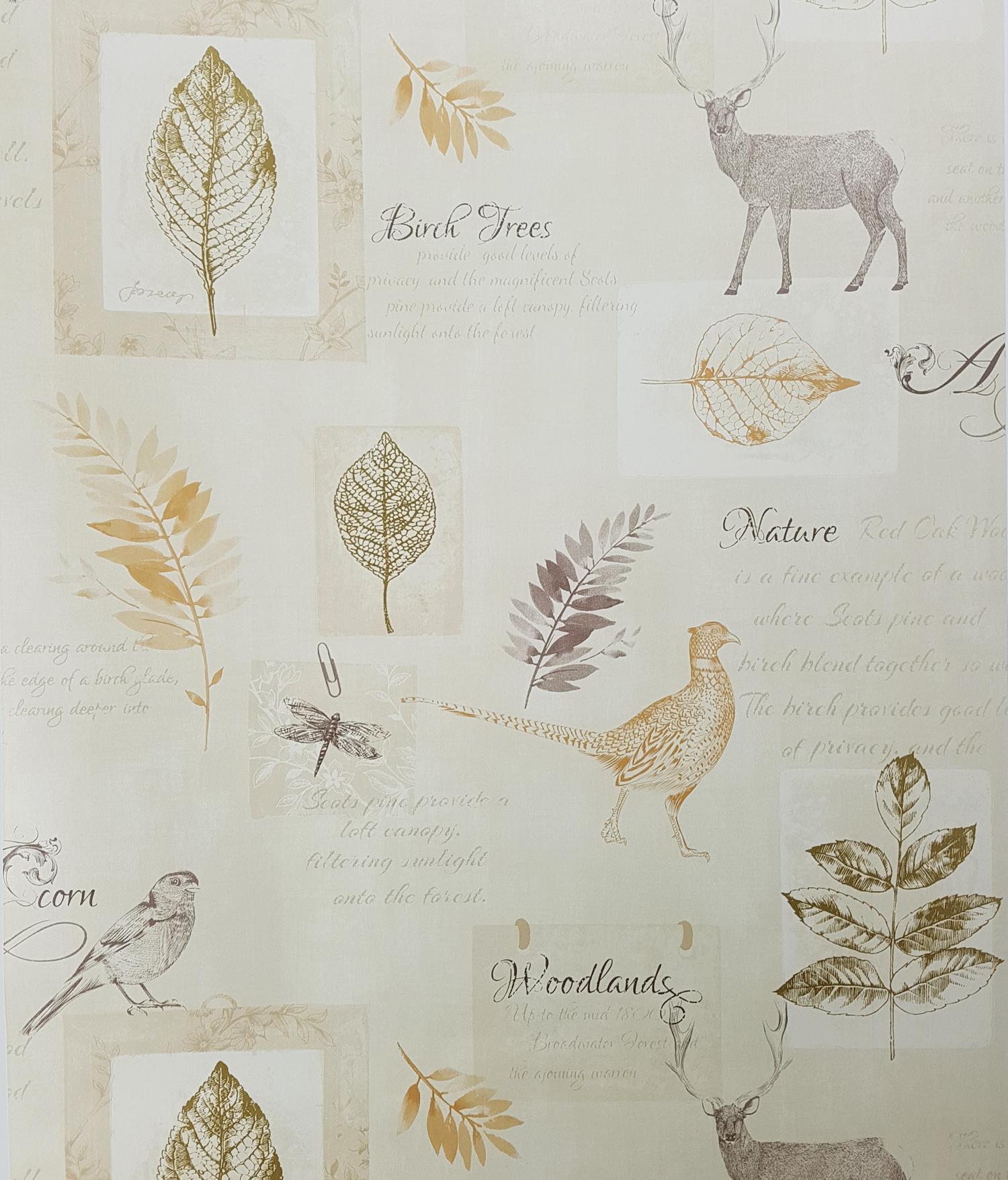 Wallpaper - HD Wallpaper 