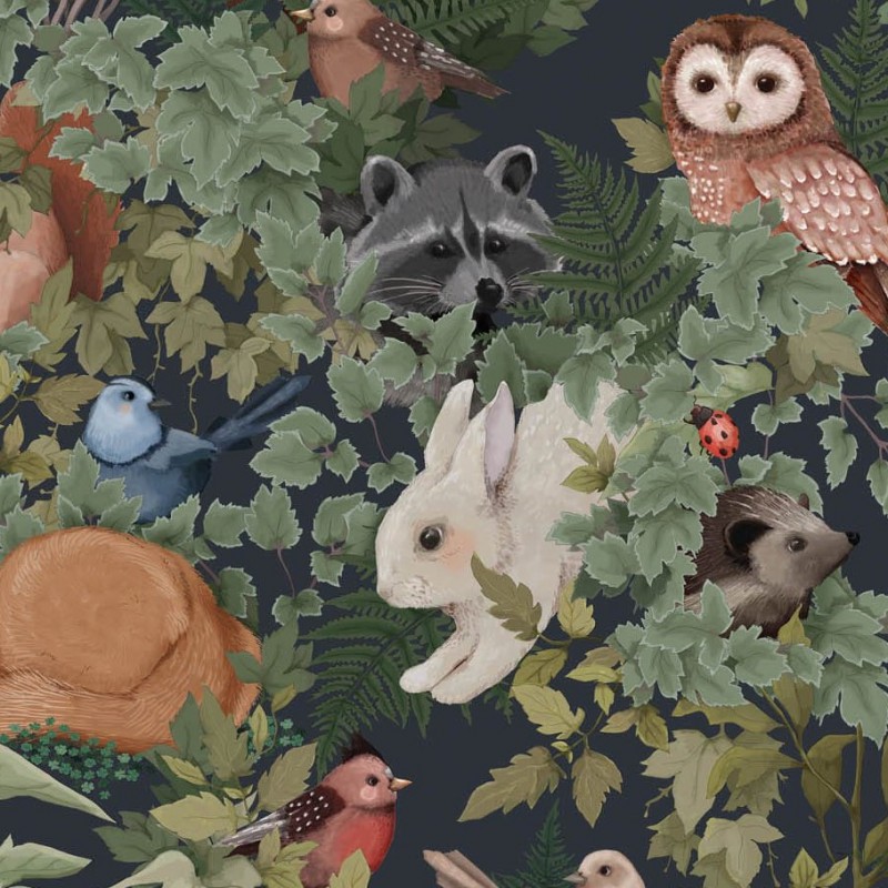 Wallpaper - - Woodland Wallpaper Jimmy Cricket - HD Wallpaper 