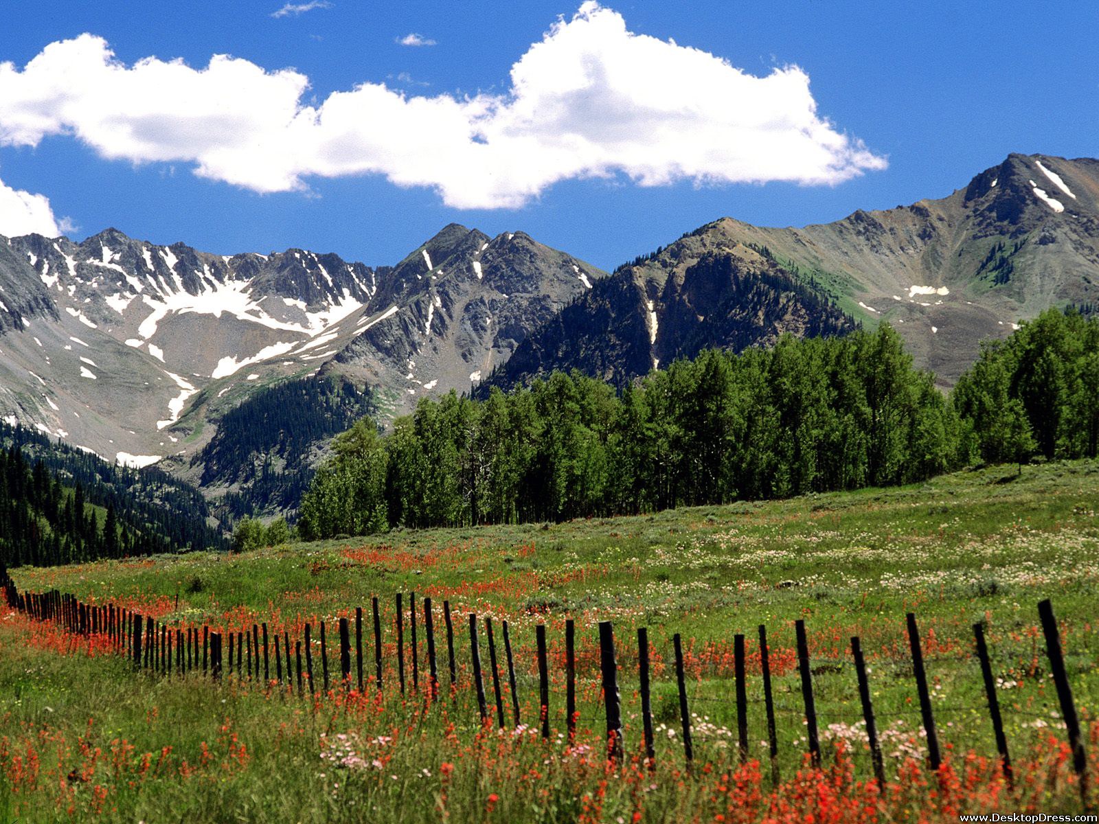 Wildflowers And Farm Fence, Outside Aspen, Colorado - Aspen Desktop Backgrounds Hd - HD Wallpaper 