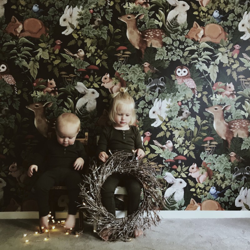 Wallpaper - - Woodlands Wallpaper By Jimmy Cricket - HD Wallpaper 