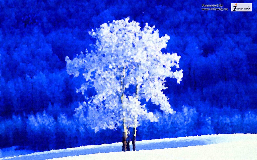 Frozen Trees Winter - HD Wallpaper 