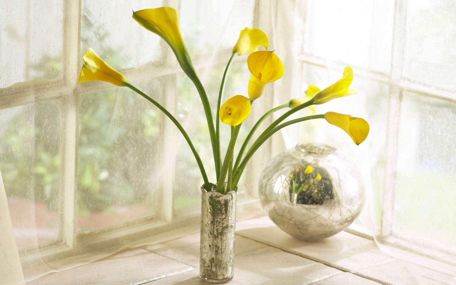 Desktop Background Calla Lily - HD Wallpaper 