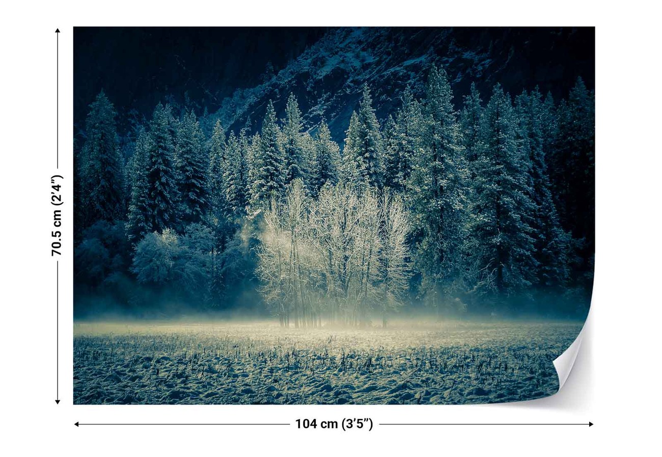 Yosemite Valley Wallpaper Mural - Fototapeta Aspen Grouping Yosemite Valley - HD Wallpaper 