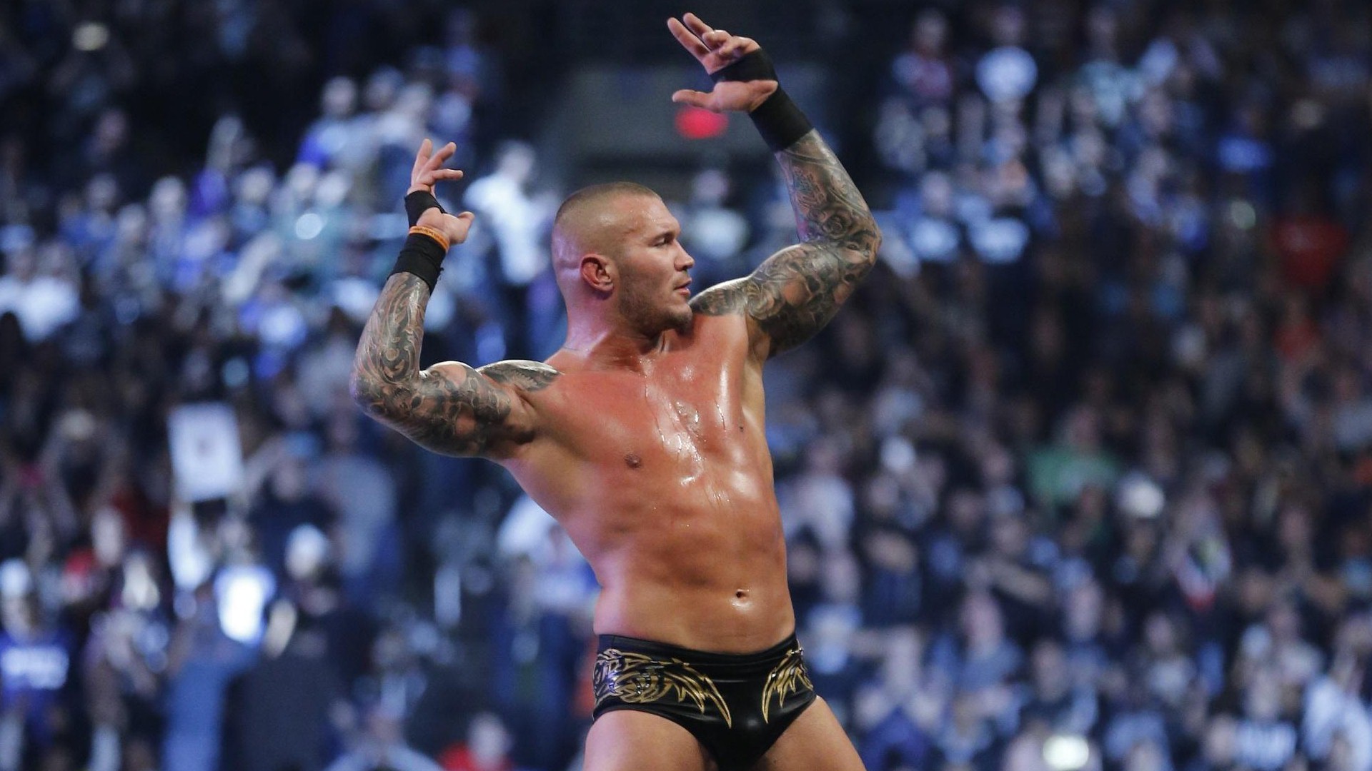 Wwe Champion Randy Orton - Randy Orton Images Hd - 1920x1080 Wallpaper - Wwe Champion Randy Orton - Randy Orton Images Hd - 1920x1080 Wallpaper -