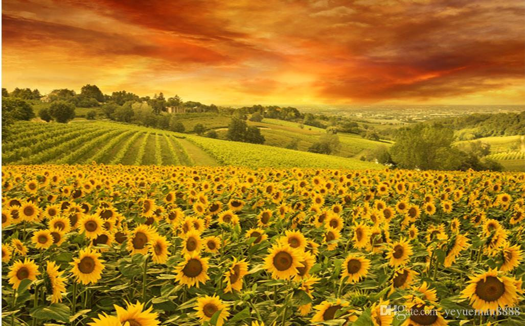 Sunflower Background - HD Wallpaper 